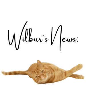 Wilbur's News